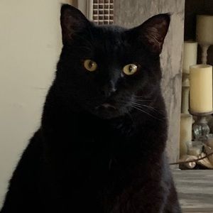 Meet your Posher, Jamie